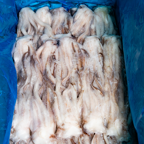 Squid_Tentacle_01